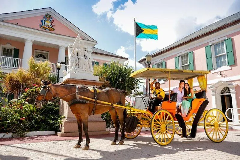 Lovely Apt Near Beach,Downtown,24Hr Security,Pool Nassau Apartment