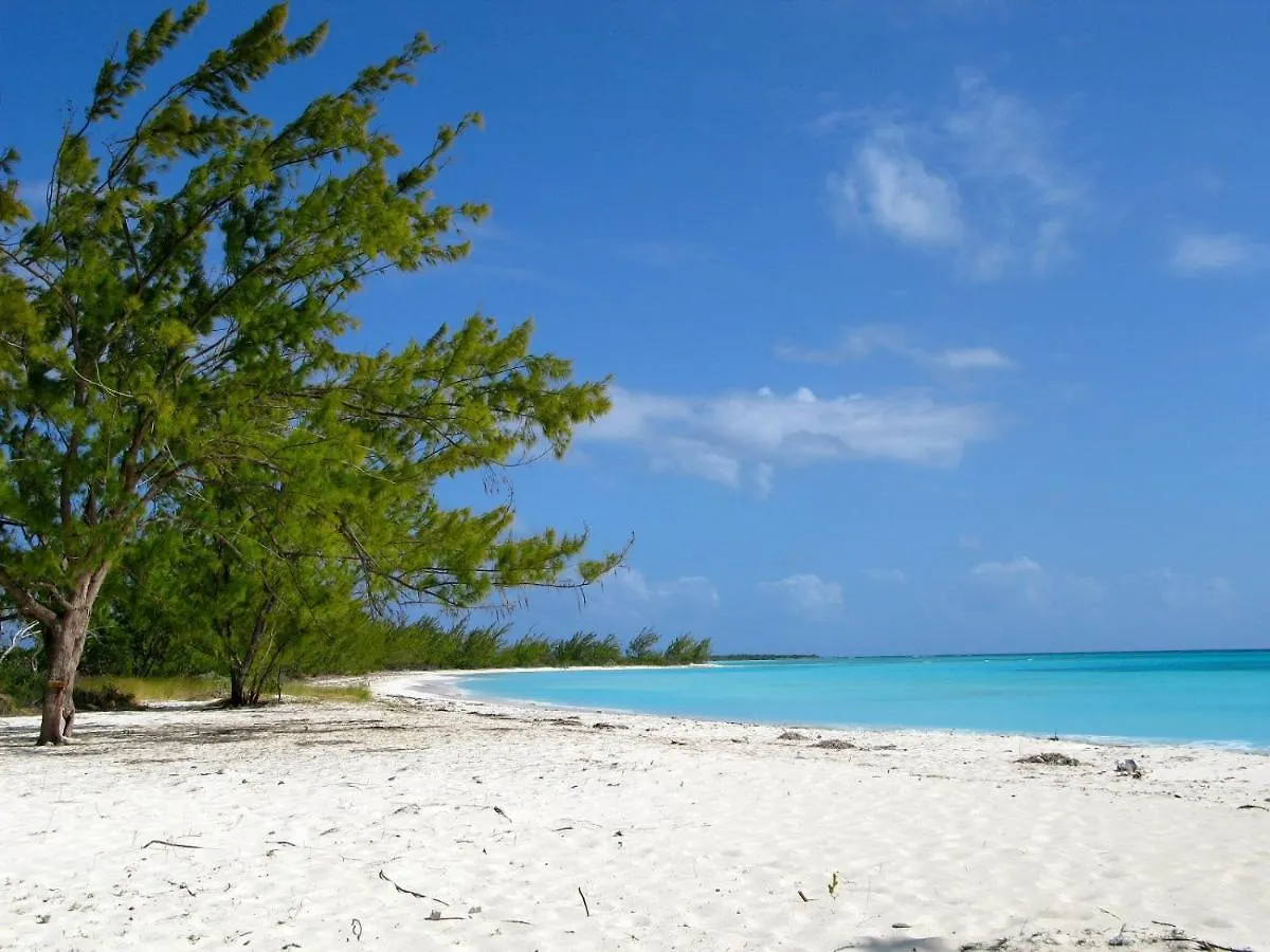 Lovely Apt Near Beach,Downtown,24Hr Security,Pool Nassau